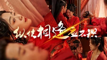 纵使相逢应不识 第41-60集